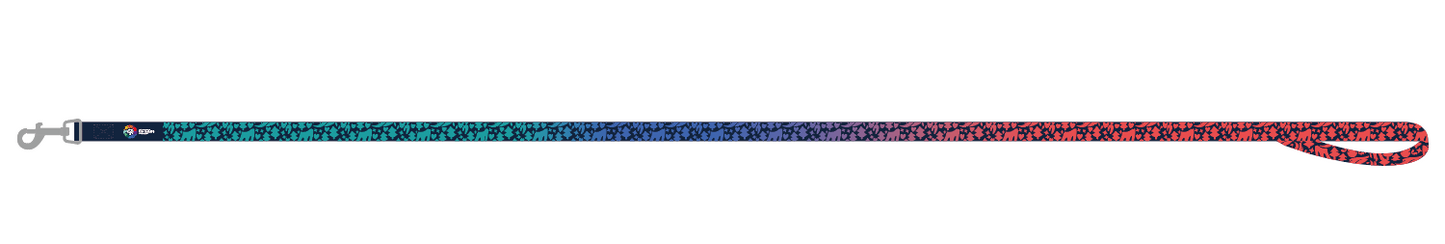 USA Games Dog Leash