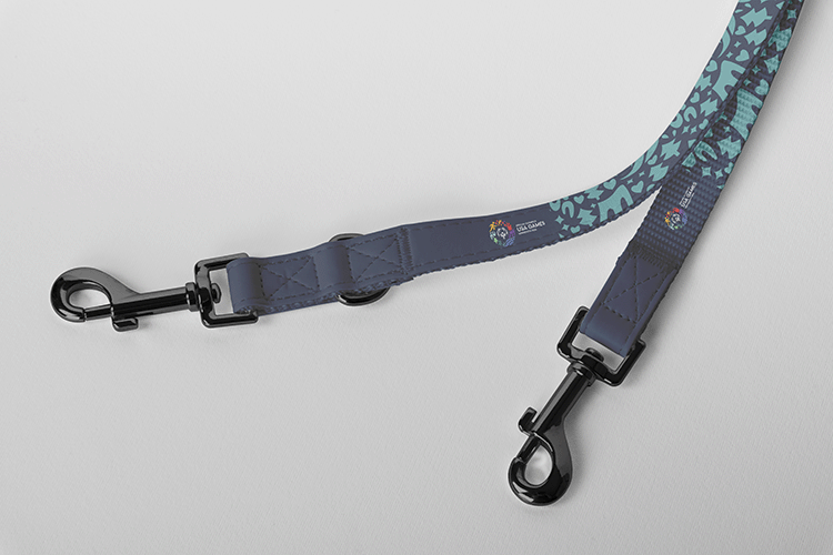 USA Games Dog Leash