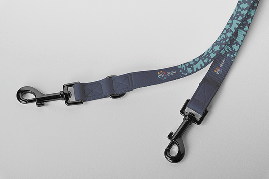 USA Games Dog Leash